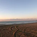 Maribeach Lejlighed *