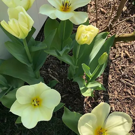 Maribeach Apartamento Cavallino-Treporti