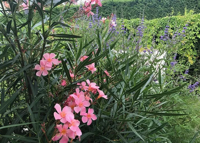Maribeach * Cavallino-Treporti