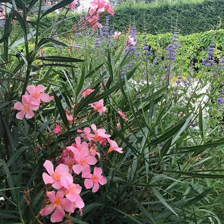 Maribeach * Cavallino-Treporti