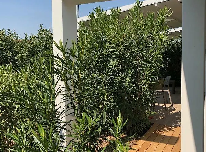 Maribeach Cavallino-Treporti