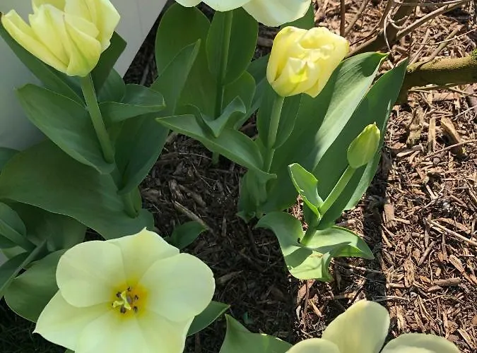 Maribeach 아파트 카발리노